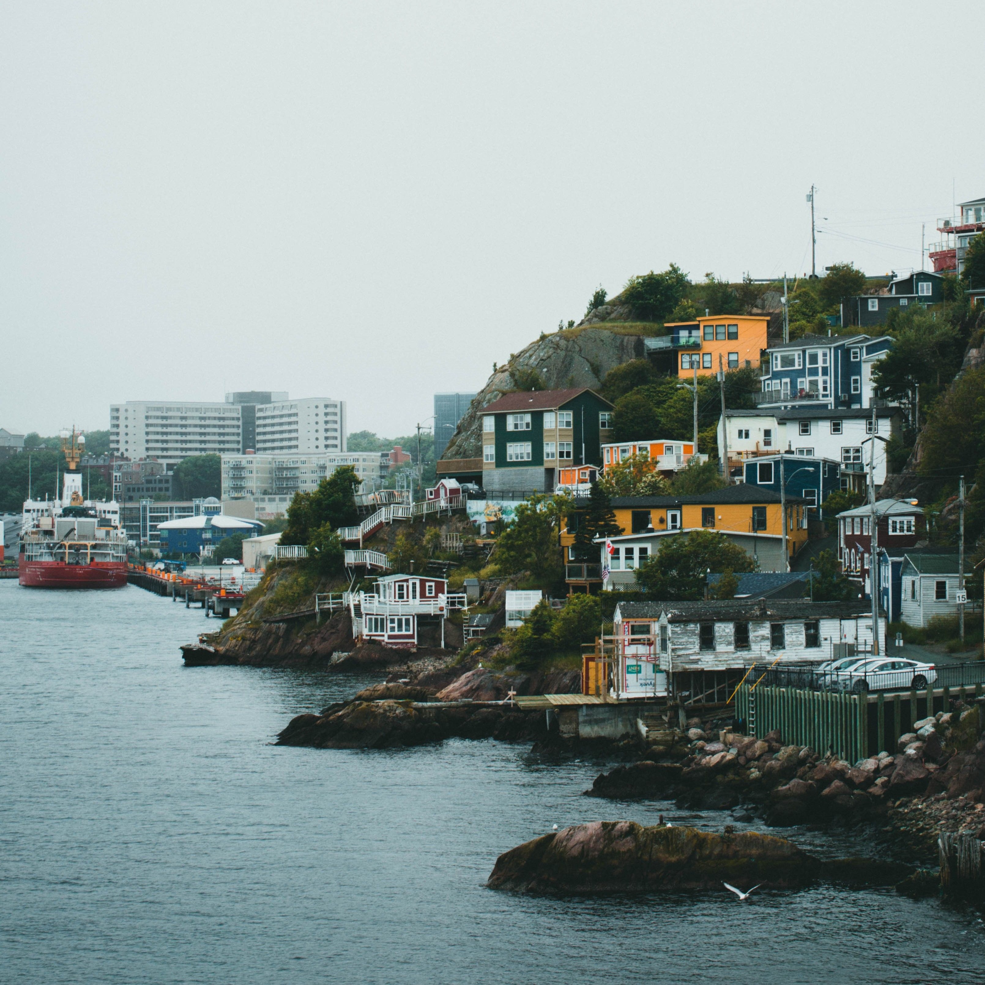 Newfoundland harbor